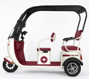 Trimoto Eléctrica Mobulaa P7 Family-7 con Techo - Máxima Protección y Confort Familiar