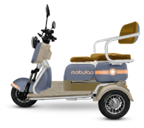 Trimoto Eléctrica Mobulaa M1 Family-1 - Comodidad, Seguridad y Movilidad Familiar