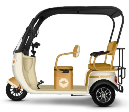 Trimoto Eléctrica Mobulaa P7 Family-7 con Techo - Máxima Protección y Confort Familiar